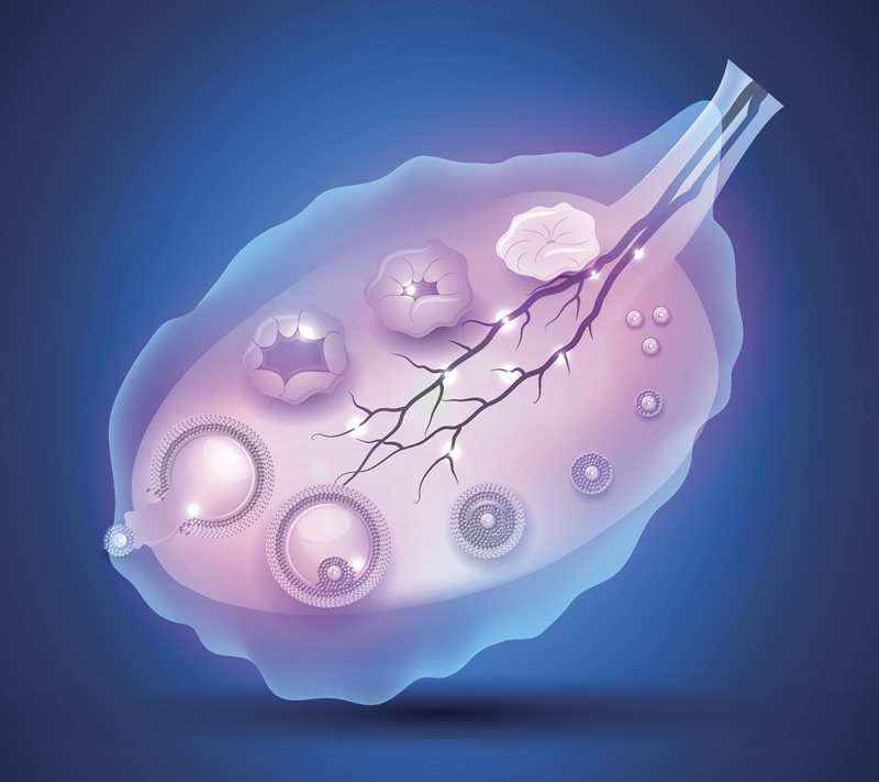 中信湘雅生殖专科医院三代试管婴儿详细费用清单包含哪些项目？
